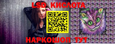 шишки Шахты