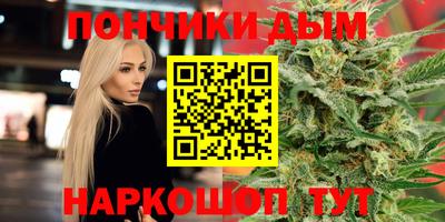 шишки Шахты